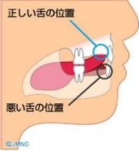 舌 舌