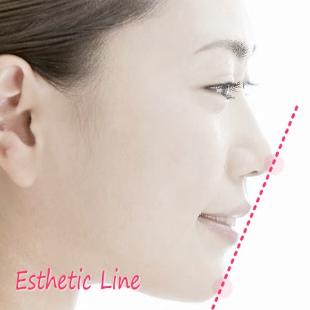 エステティックライン エステティックライン